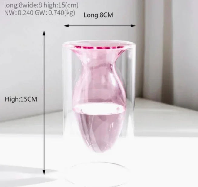 Verre créatif à double paroi transparent
